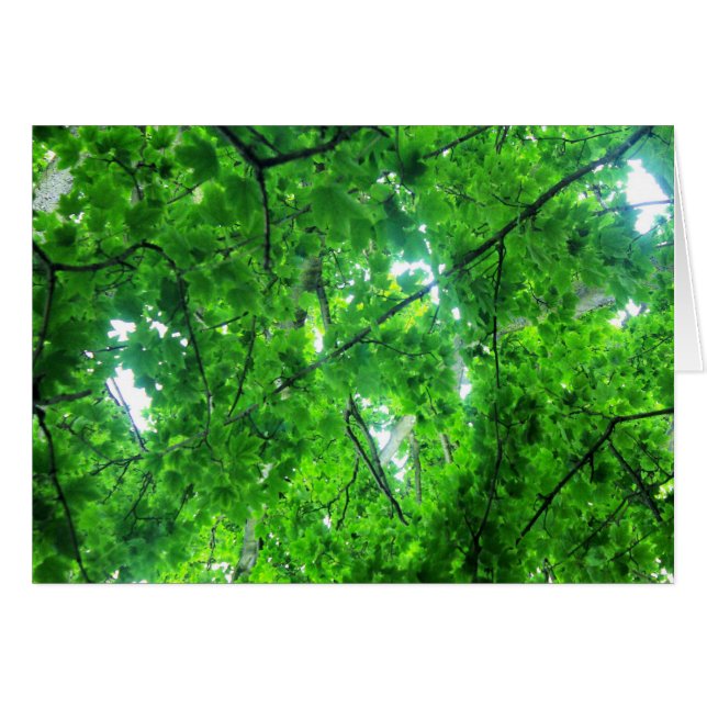 Leafy Tree (Anverso (Horizontal))