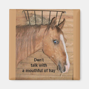 Lecciones de la mamá - imán