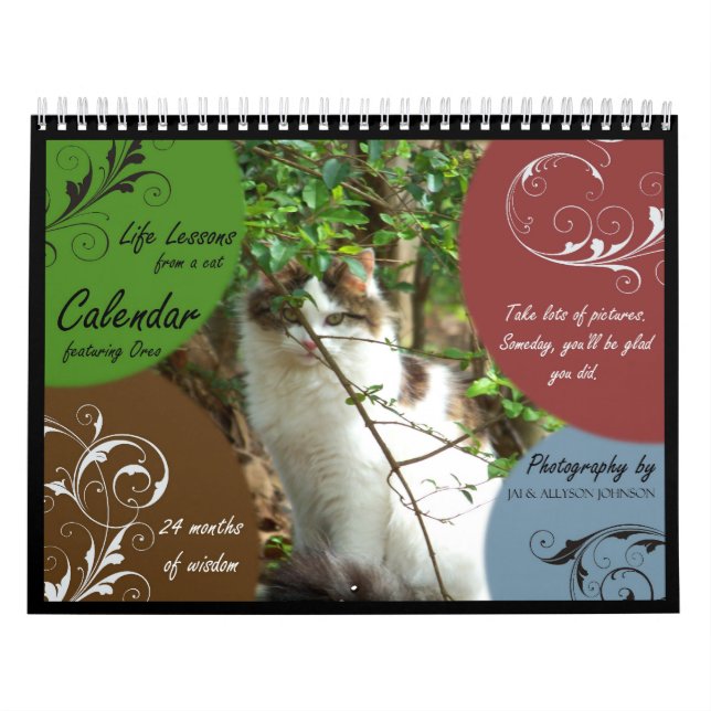Lecciones de la vida de un calendario del gato (Tapa)