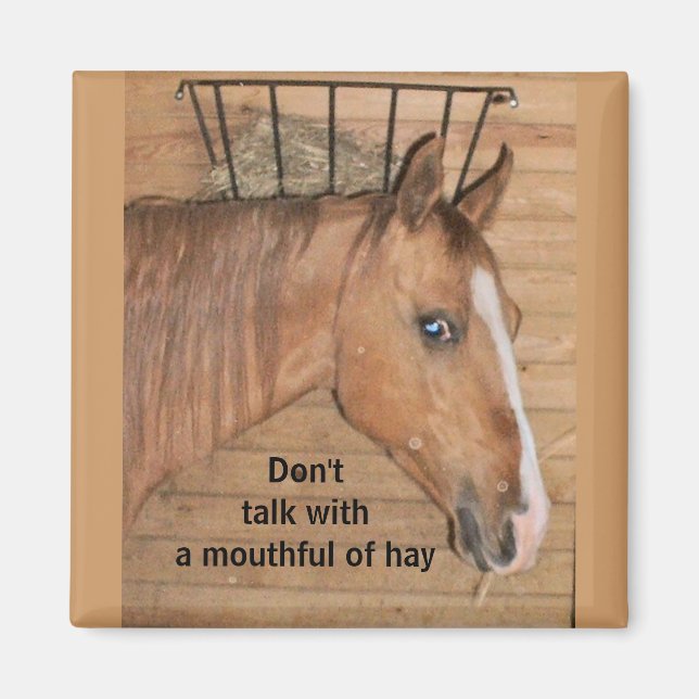 Lecciones de mamá - imán (Frente)