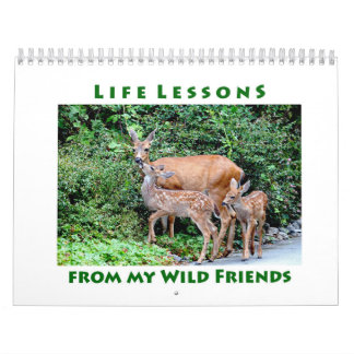 Lecciones de vida Calendario de animales salvajes