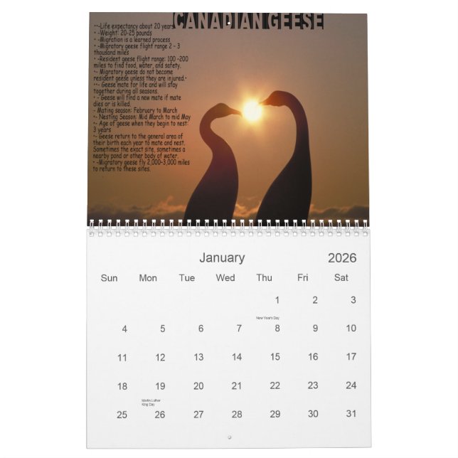 LECCIONES DEL CALENDARIO DE LOS GANSOS (Jan 2026)