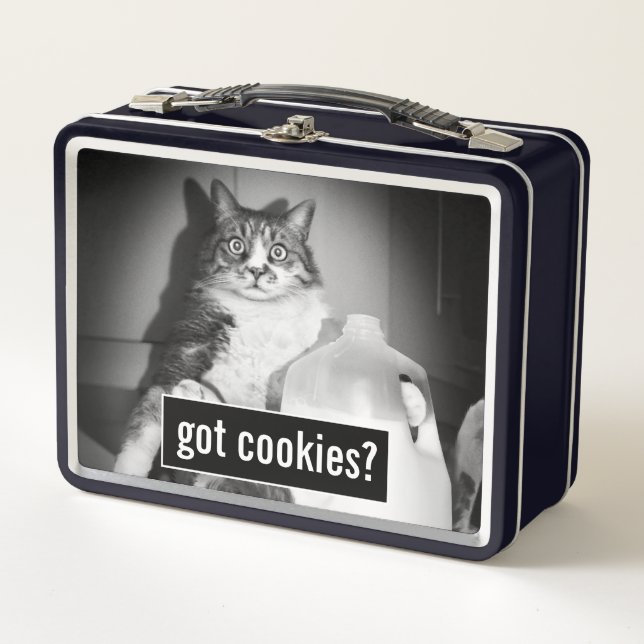 Leche de gato de jug (Anverso)