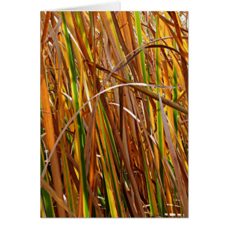 Leche de otoño número 5 (vertical)