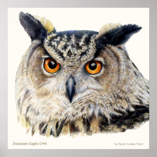 Lechuza águila eurasiática poster de arte fino orn