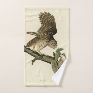 Lechuza Barrada, los pájaros de América de John Ja