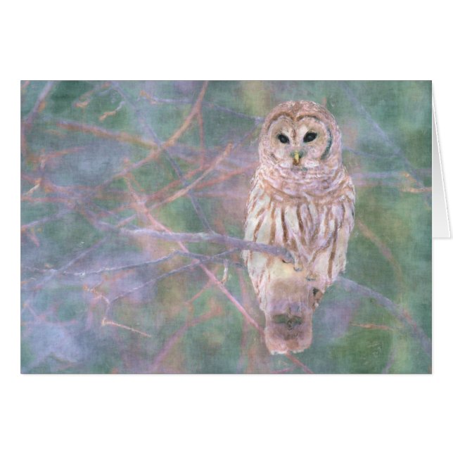 Lechuza Barrada Pastel Oilpainting (Anverso (Horizontal))