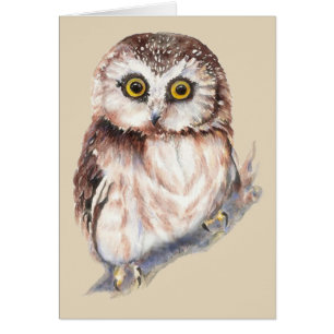Lechuza Cuta - Colección de aves acuarela