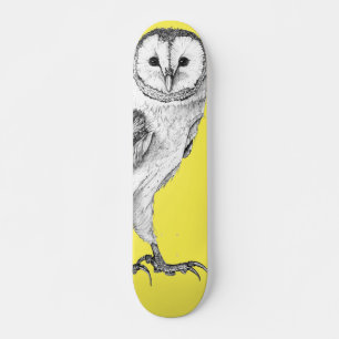 Lechuza De Barn - Dibujo En Skateboard De Pluma Ne