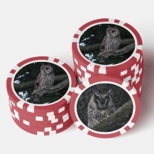 Lechuza de orejas largas cierra el chip de póquer