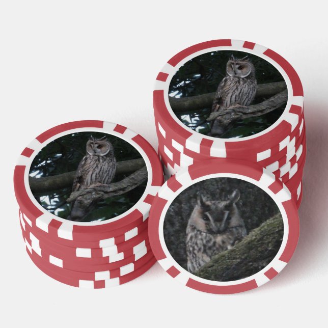 Lechuza de orejas largas cierra el chip de póquer (Pila)