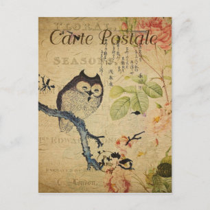Lechuza estilo vintage en sucursal postal francesa
