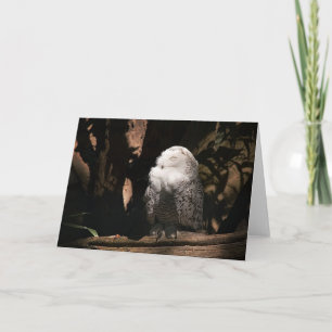 Lechuza Snowy ・ Tarjeta de felicitación