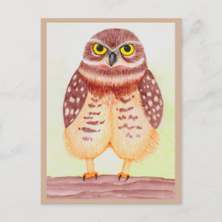 Lechuza tarjeta postal