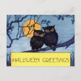 Lechuzas en una postal de Halloween en un árbol