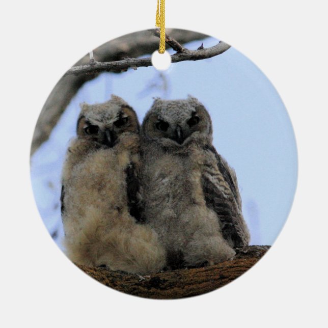 Lechuzas gemelas - Ornamento cerámico (Atrás)