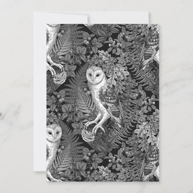 Lechuzas, helechos, robles y bayas 4 (Anverso)