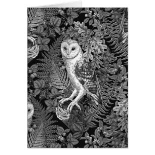 Lechuzas, helechos, robles y bayas 4