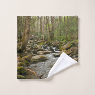 LeConte Creek