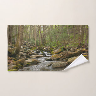LeConte Creek