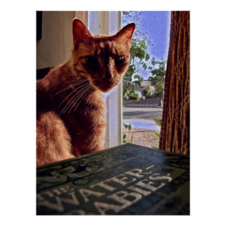 Leer mi mente, Poster de gatos