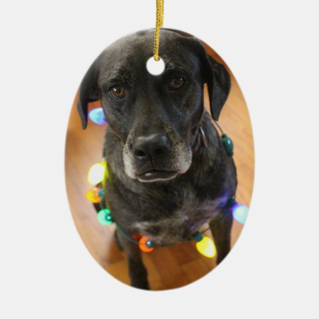 Lefy + Ornamento de Hoiday de las luces (Frente)