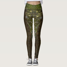 Legging de Foto de Bosque Pacífico con Luz Dorada