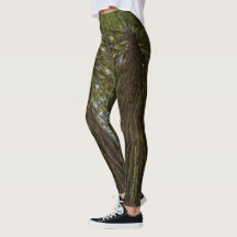 Legging de Foto de Bosque Pacífico con Luz Dorada
