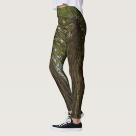 Legging de Foto de Bosque Pacífico con Luz Dorada