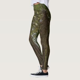Legging de Foto de Bosque Pacífico con Luz Dorada