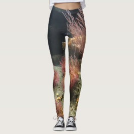 Leggings Acuario