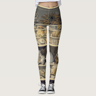 Leggings Alexandre Isidore Leroy De Barde - Selección