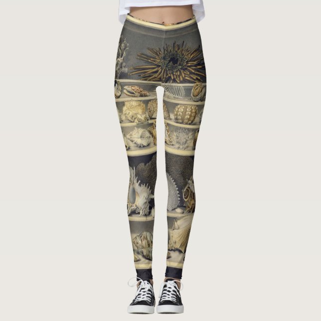 Leggings Alexandre Isidore Leroy De Barde - Selección (Anverso)