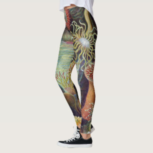 Leggings Anémona de mar naturaleza científica océano