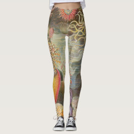Leggings Anenomas marinos de Ernst Haeckel
