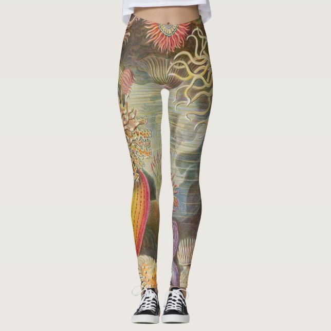 Leggings Anenomas marinos de Ernst Haeckel (Anverso)