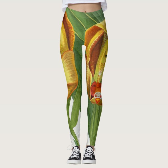 Leggings Anguloa Ruckerii Sanguine Lindenia Orquid (Anverso)