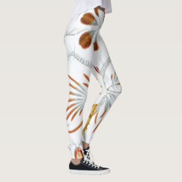 Leggings Animales del océano vintage, Copepoda de Ernst Hae