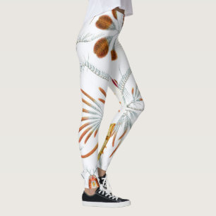 Leggings Animales Oceánicos Antiguos, Copepoda por Ernst Ha