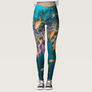 Leggings Anthias pez dorado