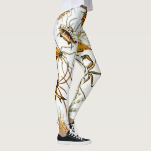 Leggings Arañas o arácnidos vintage de Ernst Haeckel