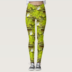 Leggings Ardilla