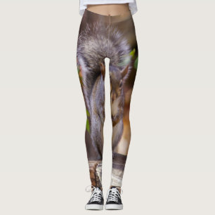 Leggings Ardilla mendicante