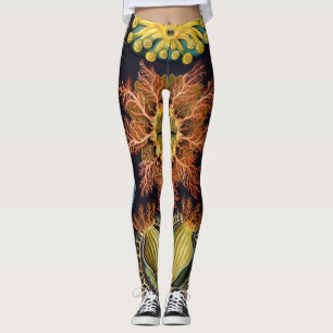 Leggings Ascidiae de Ernst Haeckel, Animales Marinos Vintag