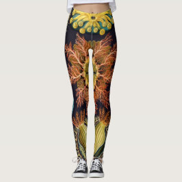 Leggings Ascidiae por Ernst Haeckel, Animales Marinos Antig