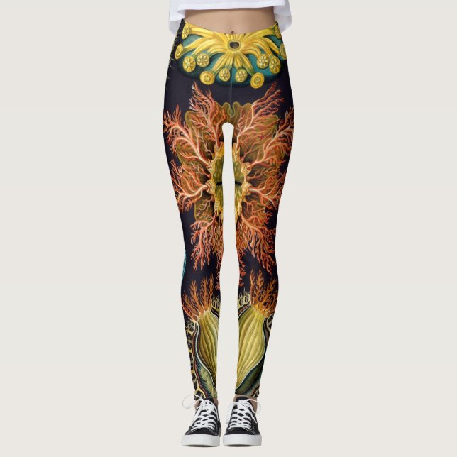 Leggings Ascidiae por Ernst Haeckel, Animales Marinos Antig (Anverso)