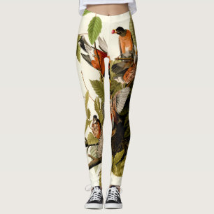 Leggings Audubon American Robin Wildlife Bird Ilustracion