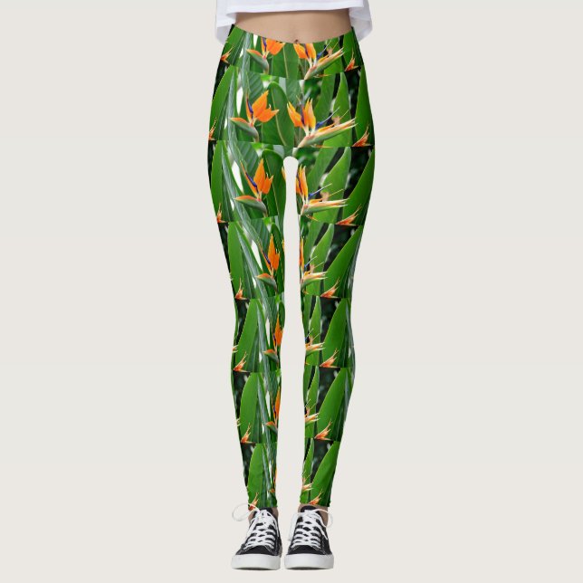 LEGGINGS AVE TROPICAL DEL PARAÍSO (Anverso)