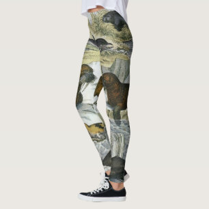 Leggings Ballenas, focas y morsas, animales marinos vintage