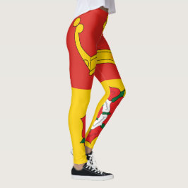 Leggings Bandera de Hampshire (condado del Reino Unido)